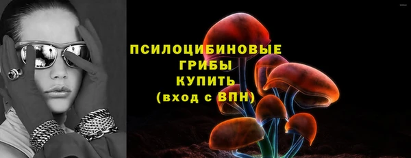 ешки Алзамай