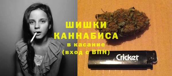 ешки Алзамай