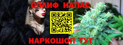 гидра Туймазы