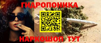 гидропоника Тула